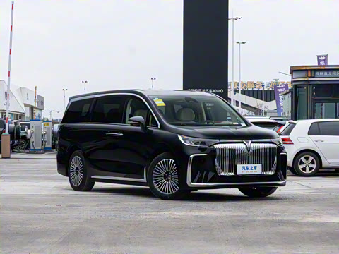 2025�� PHEV ����׿Խ������