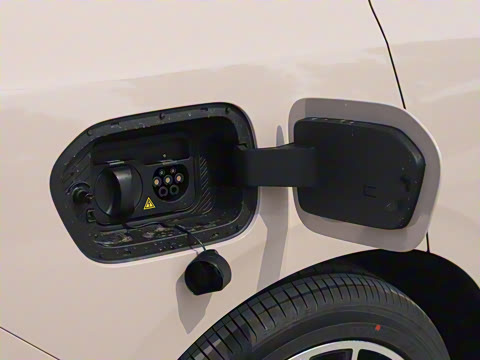 2025�� 650������