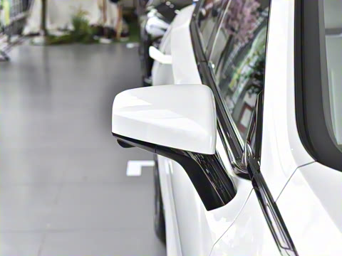 2025�� 530Max  �����Ǽ�AD PRO�����