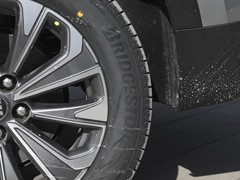 2025�� ������Plus 28T �����׽��