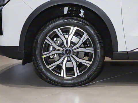 2025�� EcoBoost 170 ������