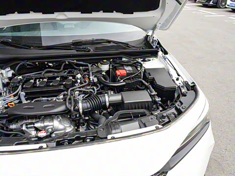 2025�� 240TURBO CVT ��ȤPlus