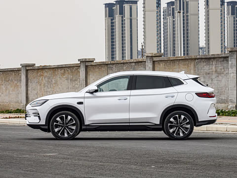 2025�� DM-i �Ǽݰ� 112KM ������