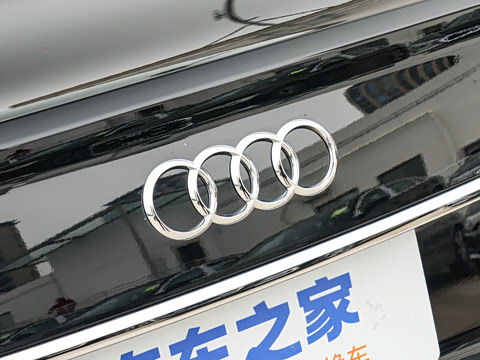 2025�� 45 TFSI ��ѡ������+ͨ��������