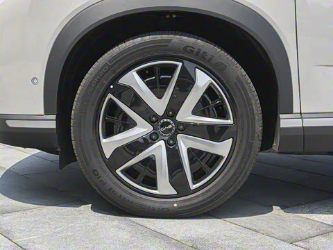 2025�� 135 �����ܼ����״��