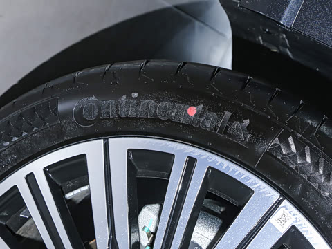 2025�� 180 ��������Max���� 7��