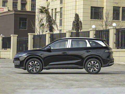 2025�� DM-i �Ǽݰ� 75KM�����