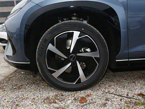 2025�� 550�Ǻ���