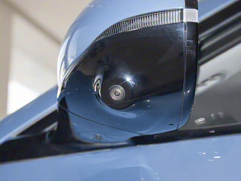 2024�� Max ����������