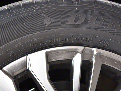 2024�� ˫�� 2.5L E-CVT��������PLUS��