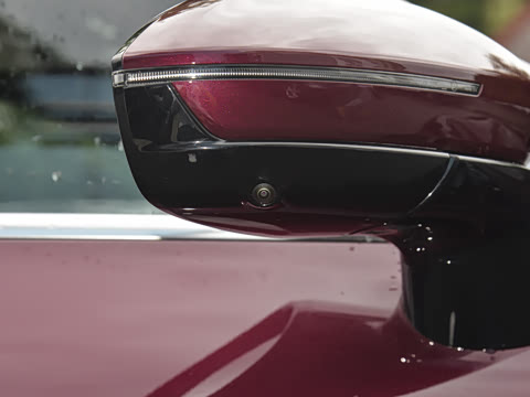 2025�� 260������������