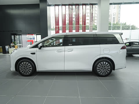 2025�� DM-i 1.5T 100km ��Խ��