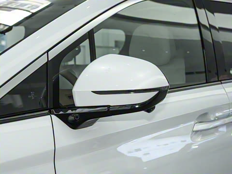 2025�� DM-i 1.5T 100km ��Խ��