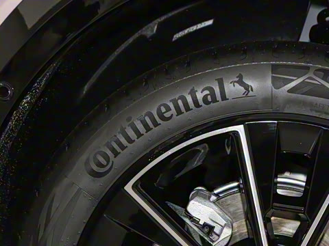 2025�� ������������