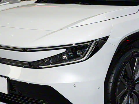 2025�� ����������Pro