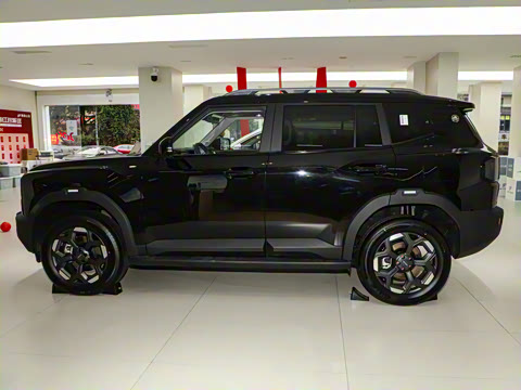 2025�� 2.0TD XWD����