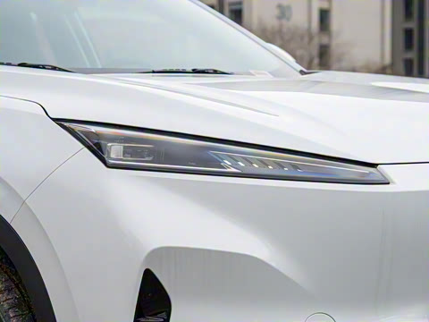 2024�� 530km PRO��Ӣ��