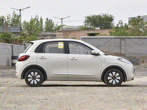 2025�� 333km ������