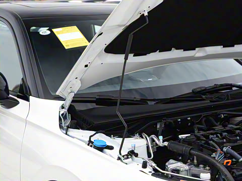 2025�� HATCHBACK 240TURBO �ֶ��ھ���