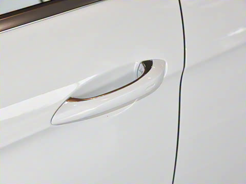 2024�� Panamera 4 E-Hybrid 2.9T