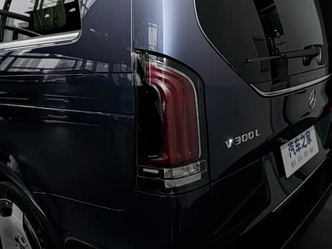 2024�� V 300 L ����������