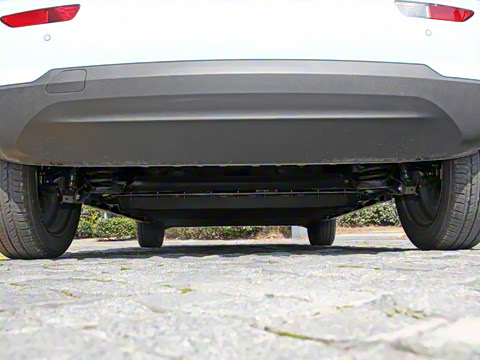 2025�� 310������