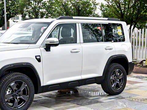 2025�� 2.0T 4WD Pro