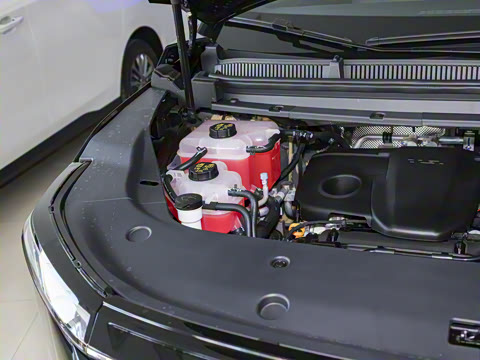 2024�� �Ŀ� ���� �������� ������