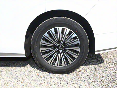 2025�� DM-i 1.5T 100km ������