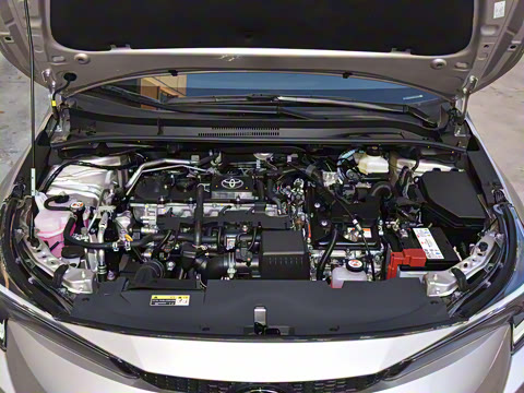 2024�� ���ܵ��˫�� 1.8L ������