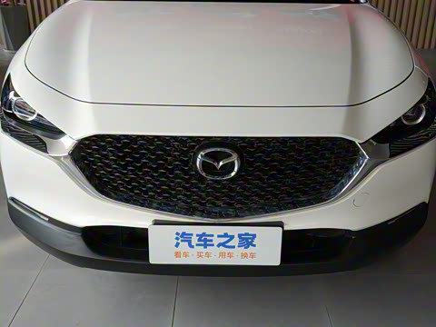 2024�� 2.0L �ֶ�������