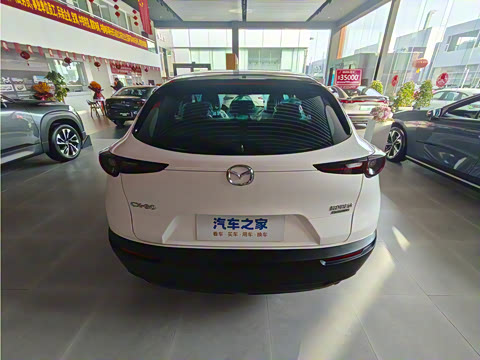 2024�� 2.0L �ֶ�������