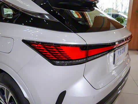 2025�� 350h ����������