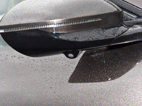 2024�� Max���������