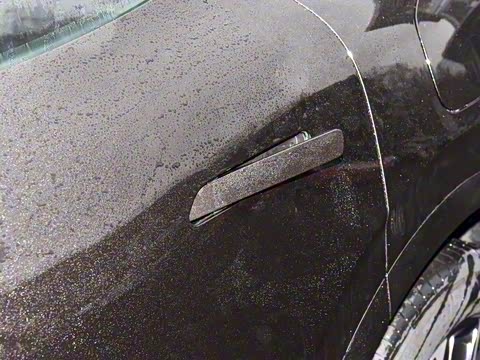 2024�� Max���������