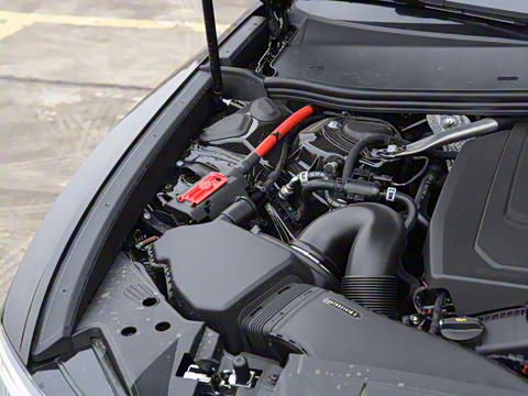 2025�� 45 TFSI quattro ��ѡ������+������