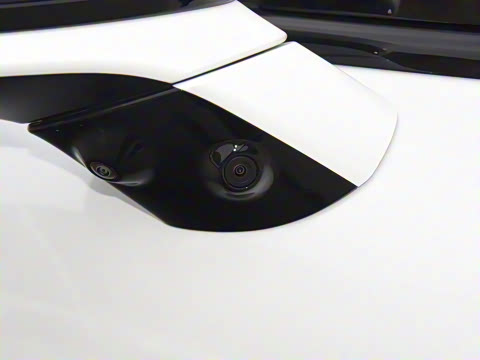 2025�� 725 �������� Max