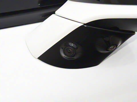 2025�� 725 �������� Max