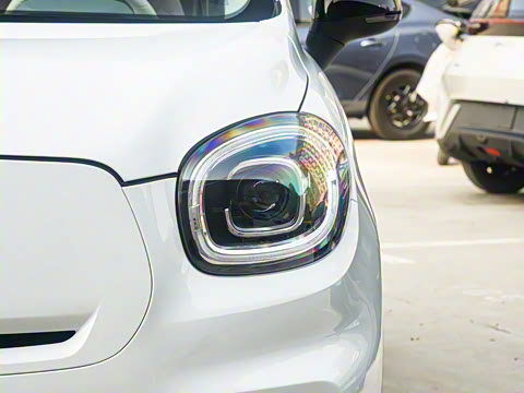 2025�� 310������