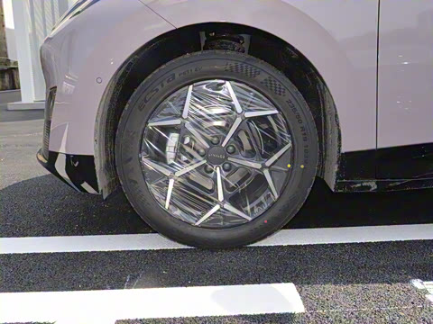 2025�� 530km ����Pro