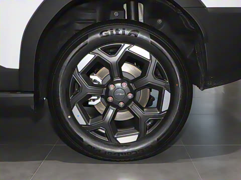 2025�� 2.0TD XWD����