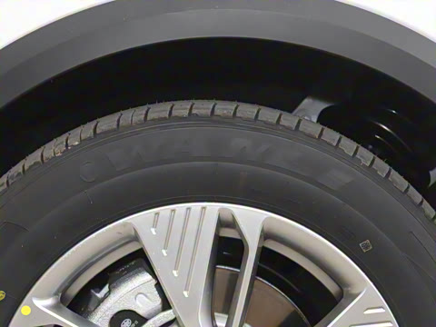 2025�� 565km ������