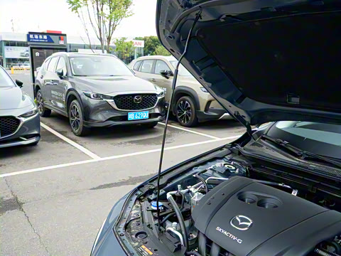 2025�� 2.0L �Զ������