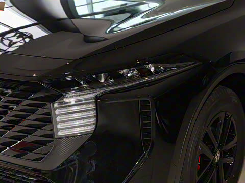 2024�� 260T ���ǰ� Pro