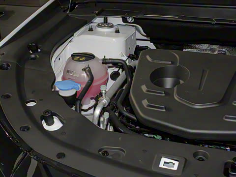 2025�� 1.5T ����� 7��