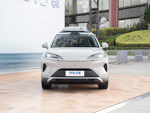 2025�� 135 �����ܼ����״��