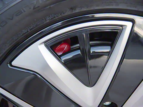 2025�� 135 �����ܼ����״��