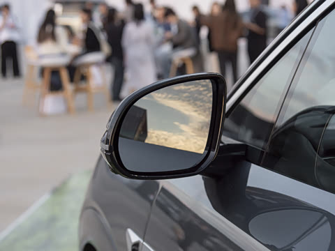 2025�� DM 175KM���˻���Ұ�