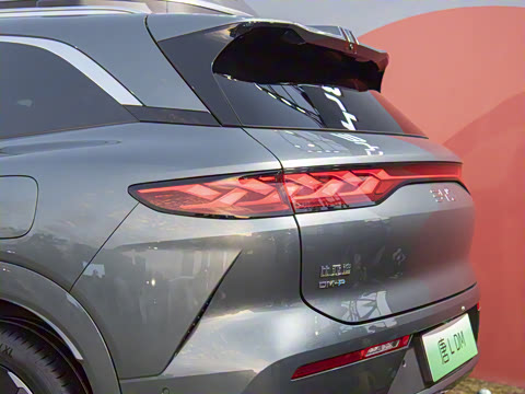 2025�� DM 175KM���˻���Ұ�