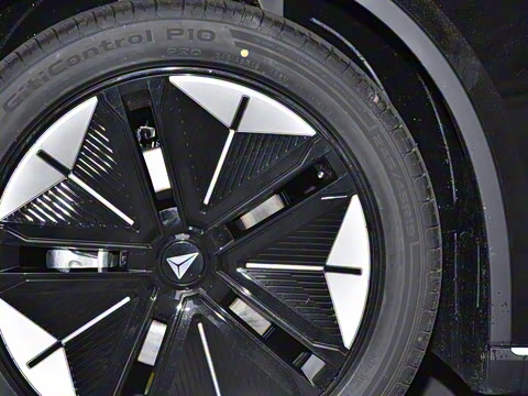 2025�� ���羫Ӣ��